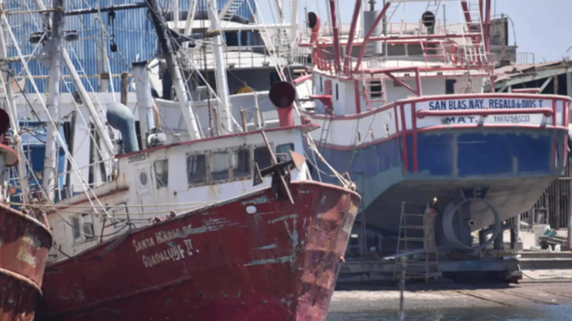 Barcos pesca